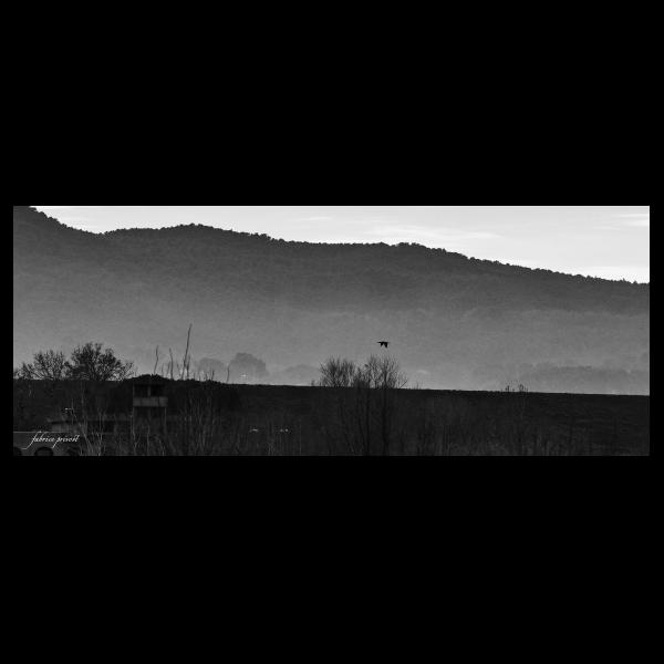 PHOTO84, CLUB, 84 , LUBERON